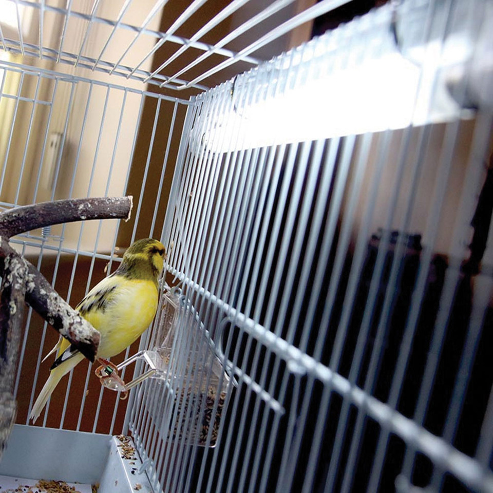Arcadia Mini UVB Avian Light Kit - Image 5