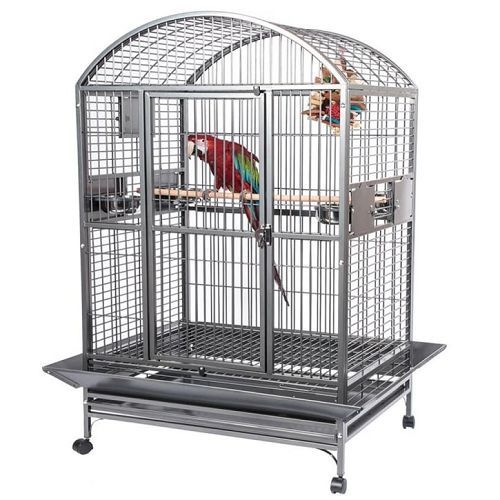 Cages and Play Stands - The Bird Loft - Prime Bird Cages With Three Playstands