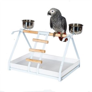 Parrot Stand 