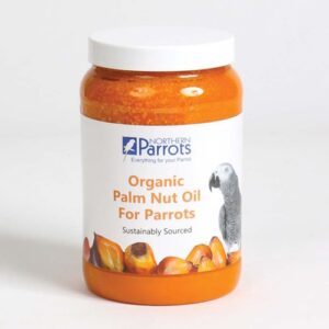 Organic Parrot Palm Nut Fruit Extract