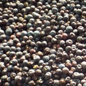 Tidymix Human Grade Juniper Berries Treat 250g