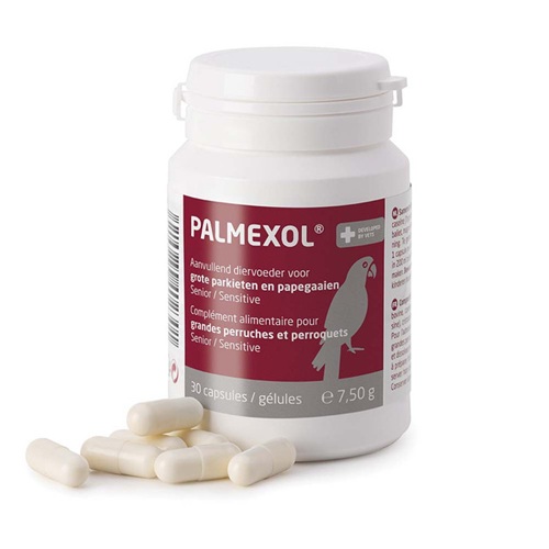 Palmexol Anti-inflammatory Supplement - 30 Capsules - Image 2