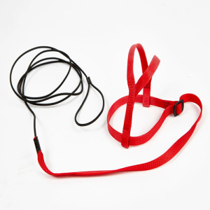 Avian Adventure Bound Parrot Harness and Leash - Medium - Red