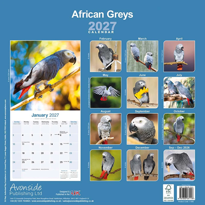 NEW! 2027 African Grey Parrot Calendar - Full Colour - 16 Month - Image 3