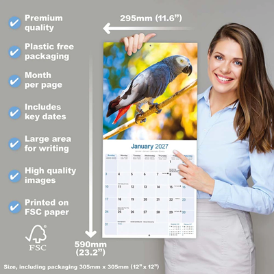 NEW! 2027 African Grey Parrot Calendar - Full Colour - 16 Month - Image 2