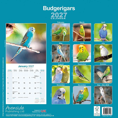 NEW! 2027 Budgerigar Calendar - Full Colour - 16 Month - Image 2