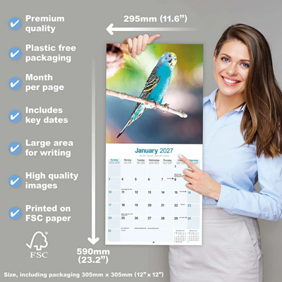 NEW! 2027 Budgerigar Calendar - Full Colour - 16 Month - Image 3