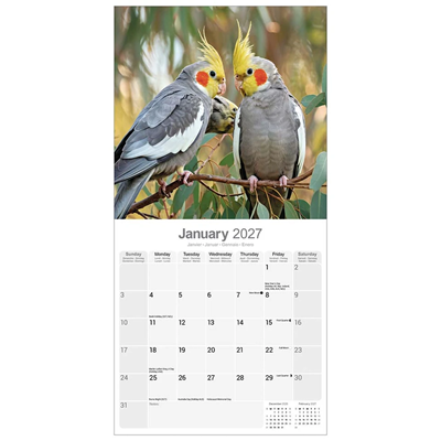 NEW! 2027 Cockatiel Calendar - Full Colour - 16 Month - Image 3