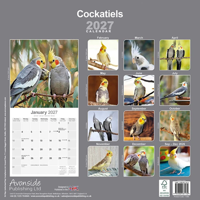 NEW! 2027 Cockatiel Calendar - Full Colour - 16 Month - Image 2