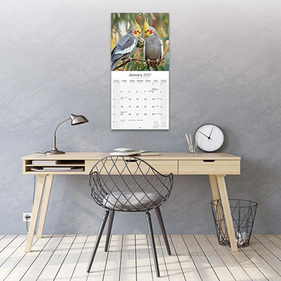 NEW! 2027 Cockatiel Calendar - Full Colour - 16 Month - Image 5