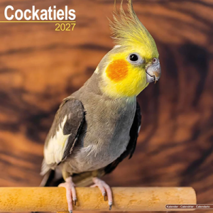 NEW! 2027 Cockatiel Calendar - Full Colour - 16 Month