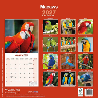 NEW! 2027 Macaw Parrot Calendar - Full Colour - 16 Month - Image 3